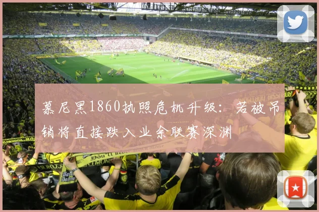 慕尼黑1860执照危机升级：若被吊销将直接跌入业余联赛深渊